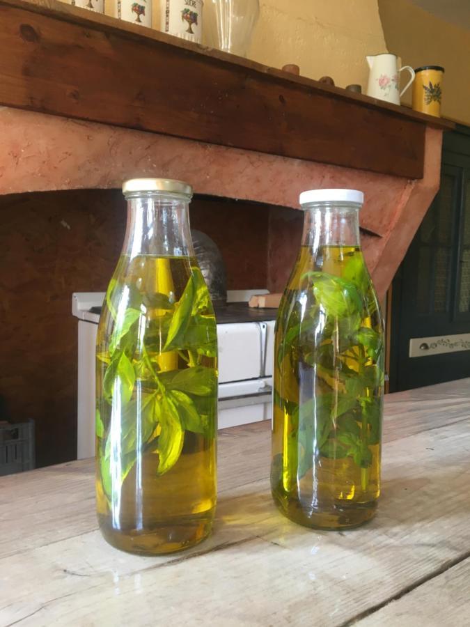 Chateau De Villeneuve - Montolieu Ngoại thất bức ảnh