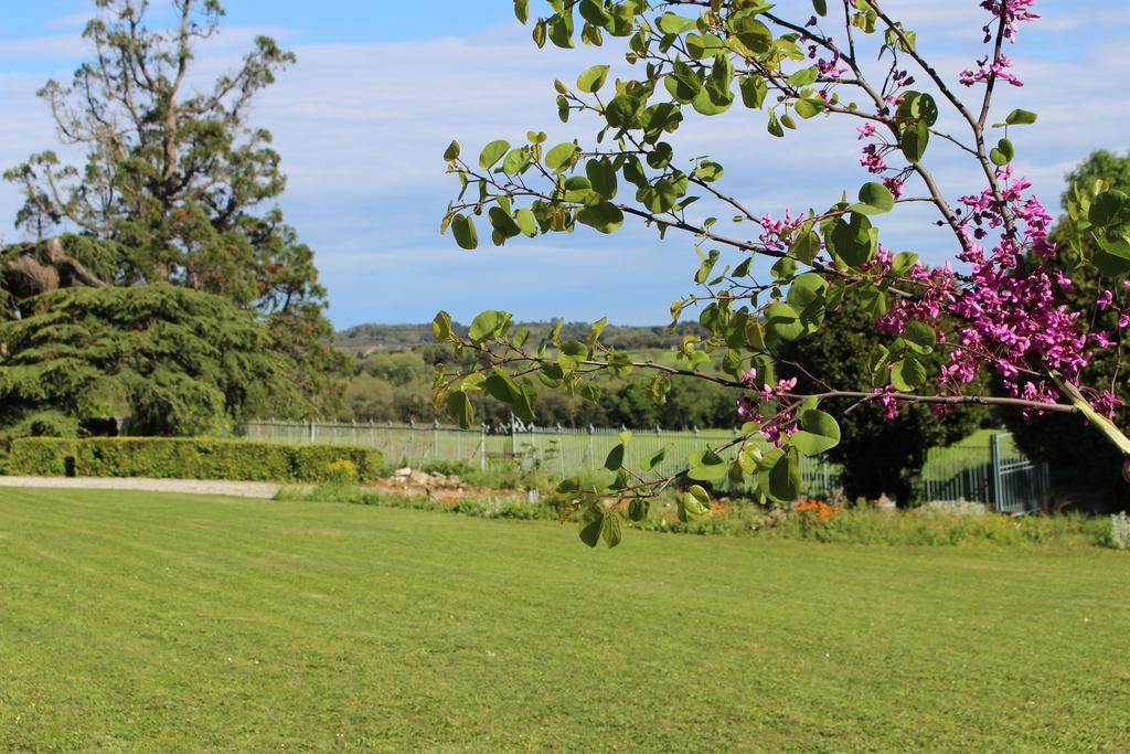 Chateau De Villeneuve - Montolieu Ngoại thất bức ảnh