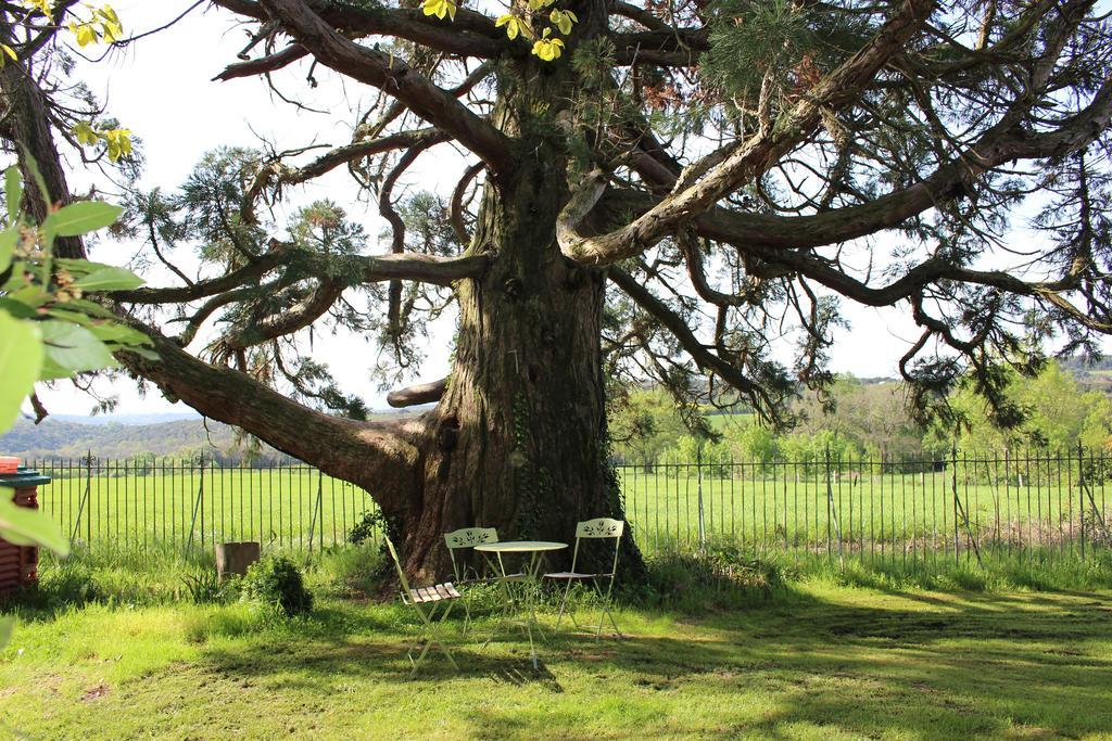 Chateau De Villeneuve - Montolieu Ngoại thất bức ảnh