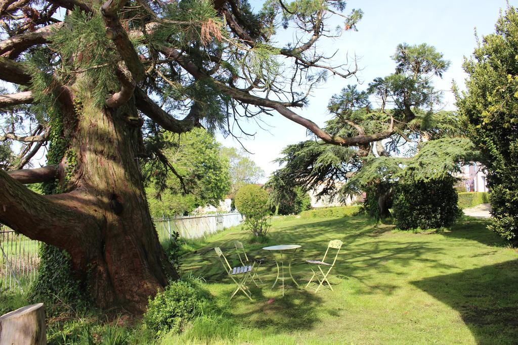 Chateau De Villeneuve - Montolieu Ngoại thất bức ảnh